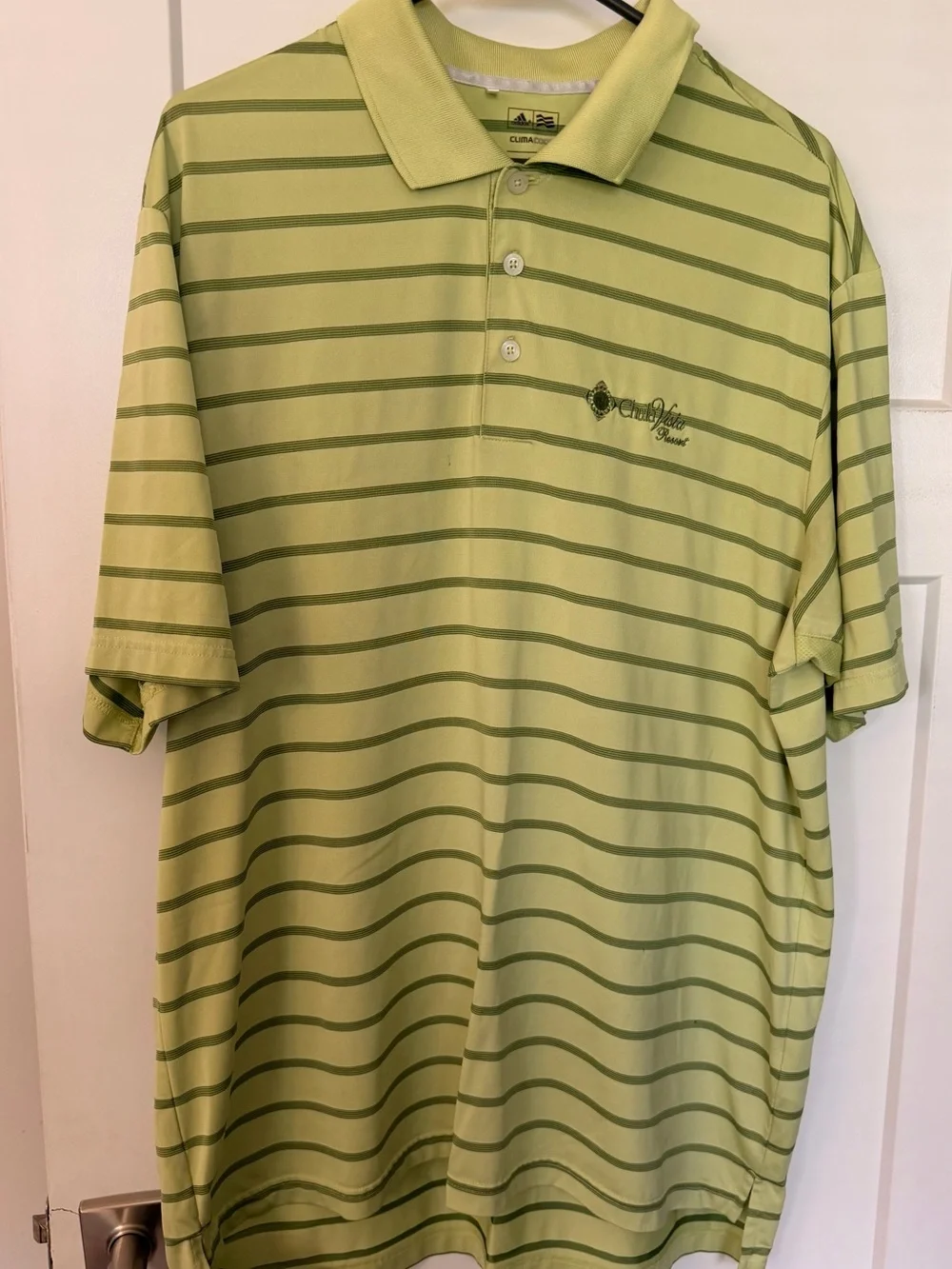 Light Green Striped Men’s Polo Shirt